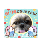 ◎めろんちゃん◎（個別スタンプ：32）