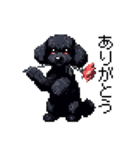 ドット絵 トイプードル ブラック 40種 日常（個別スタンプ：1）