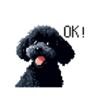 ドット絵 トイプードル ブラック 40種 日常（個別スタンプ：2）