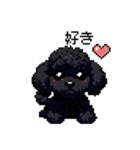 ドット絵 トイプードル ブラック 40種 日常（個別スタンプ：5）