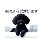 ドット絵 トイプードル ブラック 40種 日常（個別スタンプ：6）