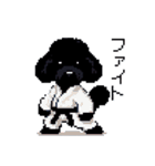 ドット絵 トイプードル ブラック 40種 日常（個別スタンプ：7）