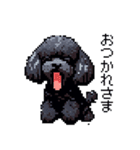 ドット絵 トイプードル ブラック 40種 日常（個別スタンプ：8）