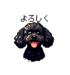 ドット絵 トイプードル ブラック 40種 日常（個別スタンプ：9）