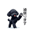 ドット絵 トイプードル ブラック 40種 日常（個別スタンプ：15）