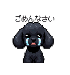 ドット絵 トイプードル ブラック 40種 日常（個別スタンプ：20）