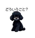 ドット絵 トイプードル ブラック 40種 日常（個別スタンプ：23）