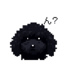 ドット絵 トイプードル ブラック 40種 日常（個別スタンプ：24）