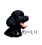 ドット絵 トイプードル ブラック 40種 日常（個別スタンプ：25）