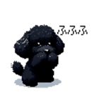 ドット絵 トイプードル ブラック 40種 日常（個別スタンプ：28）