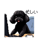 ドット絵 トイプードル ブラック 40種 日常（個別スタンプ：34）