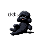 ドット絵 トイプードル ブラック 40種 日常（個別スタンプ：37）