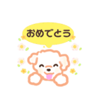 しろいふわふわんこ（個別スタンプ：12）