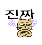 猫のリロ君だよ(韓国語)（個別スタンプ：2）
