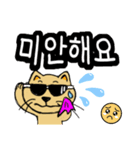 猫のリロ君だよ(韓国語)（個別スタンプ：11）