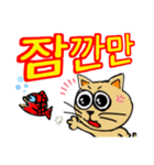 猫のリロ君だよ(韓国語)（個別スタンプ：15）