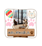 絵になる、ねこねこ日より（個別スタンプ：4）