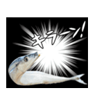 『さんま -秋刀魚-』ルアー・サビキ釣り編（個別スタンプ：4）