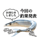 『さんま -秋刀魚-』ルアー・サビキ釣り編（個別スタンプ：5）