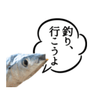 『さんま -秋刀魚-』ルアー・サビキ釣り編（個別スタンプ：9）
