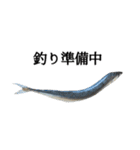 『さんま -秋刀魚-』ルアー・サビキ釣り編（個別スタンプ：11）