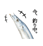 『さんま -秋刀魚-』ルアー・サビキ釣り編（個別スタンプ：12）