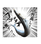 『さんま -秋刀魚-』ルアー・サビキ釣り編（個別スタンプ：17）