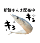 『さんま -秋刀魚-』ルアー・サビキ釣り編（個別スタンプ：22）