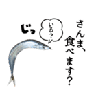 『さんま -秋刀魚-』ルアー・サビキ釣り編（個別スタンプ：23）