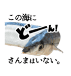 『さんま -秋刀魚-』ルアー・サビキ釣り編（個別スタンプ：26）