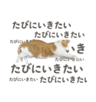 きなこ_TOMSIGNWORKS（個別スタンプ：4）