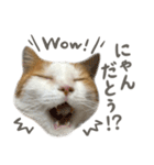 きなこ_TOMSIGNWORKS（個別スタンプ：8）