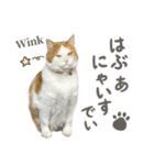 きなこ_TOMSIGNWORKS（個別スタンプ：9）