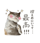 きなこ_TOMSIGNWORKS（個別スタンプ：13）