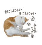 きなこ_TOMSIGNWORKS（個別スタンプ：14）