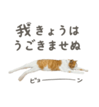 きなこ_TOMSIGNWORKS（個別スタンプ：22）