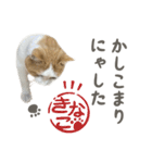 きなこ_TOMSIGNWORKS（個別スタンプ：23）