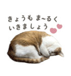 きなこ_TOMSIGNWORKS（個別スタンプ：26）