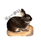 Minchopila 8（個別スタンプ：3）