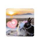 Minchopila 8（個別スタンプ：8）
