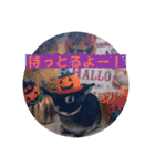 Minchopila 8（個別スタンプ：15）
