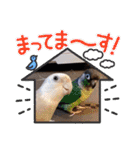 Minchopila 8（個別スタンプ：17）