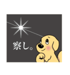 おとぼ犬エマのまいにち  [日常編]（個別スタンプ：38）