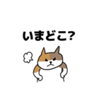 綿菓子さんちの猫たち詰め合わせ1（個別スタンプ：2）