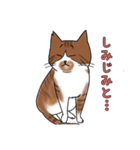 シミ付き（茶トラ白）ねこ（個別スタンプ：1）