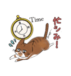 シミ付き（茶トラ白）ねこ（個別スタンプ：12）