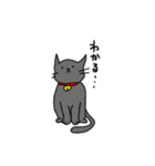 グレーのねこちゃん。（個別スタンプ：3）