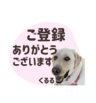 店舗言葉です（個別スタンプ：1）