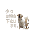 店舗言葉です（個別スタンプ：3）