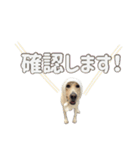 店舗言葉です（個別スタンプ：4）